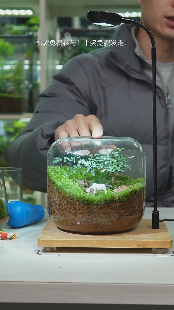 【闪购商品】树影婆娑孤品圆缸