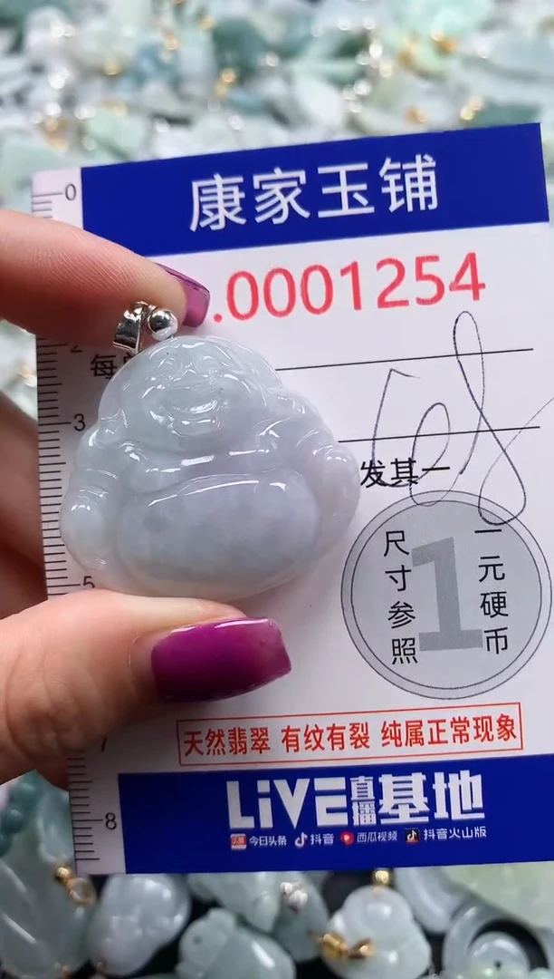 颈饰未镶嵌翡翠1254