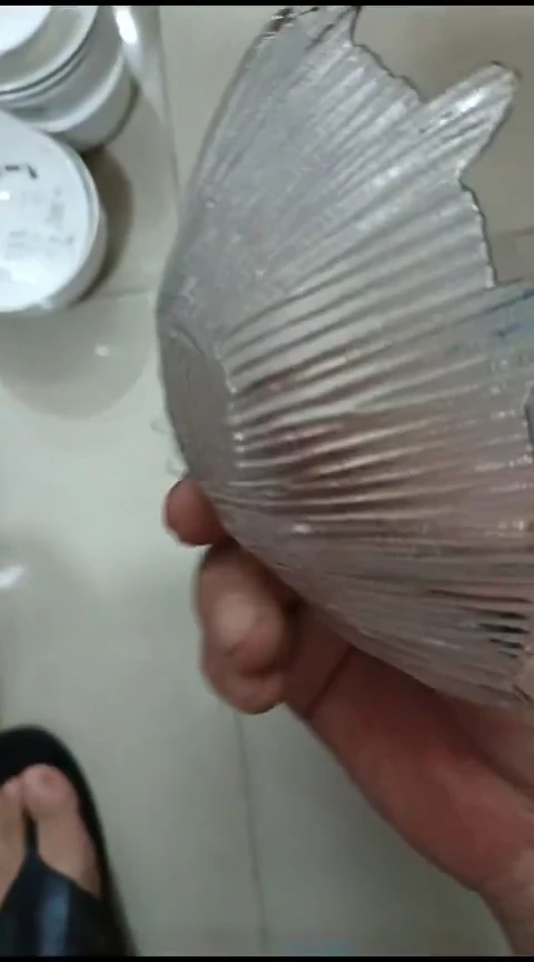 瓷水晶贝壳盘6个装