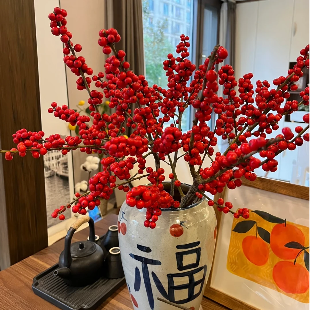 【黄梦宇】天物冬青  任意满两单及以上包邮送货上门