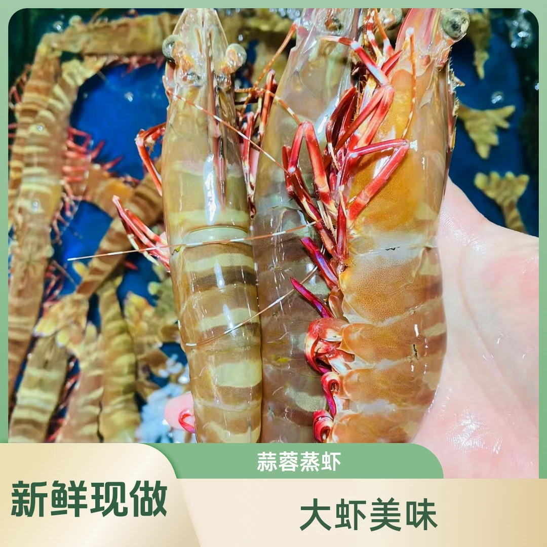 蒜蓉粉丝开边蒸鬼虾1斤现捞现做生猛下锅！