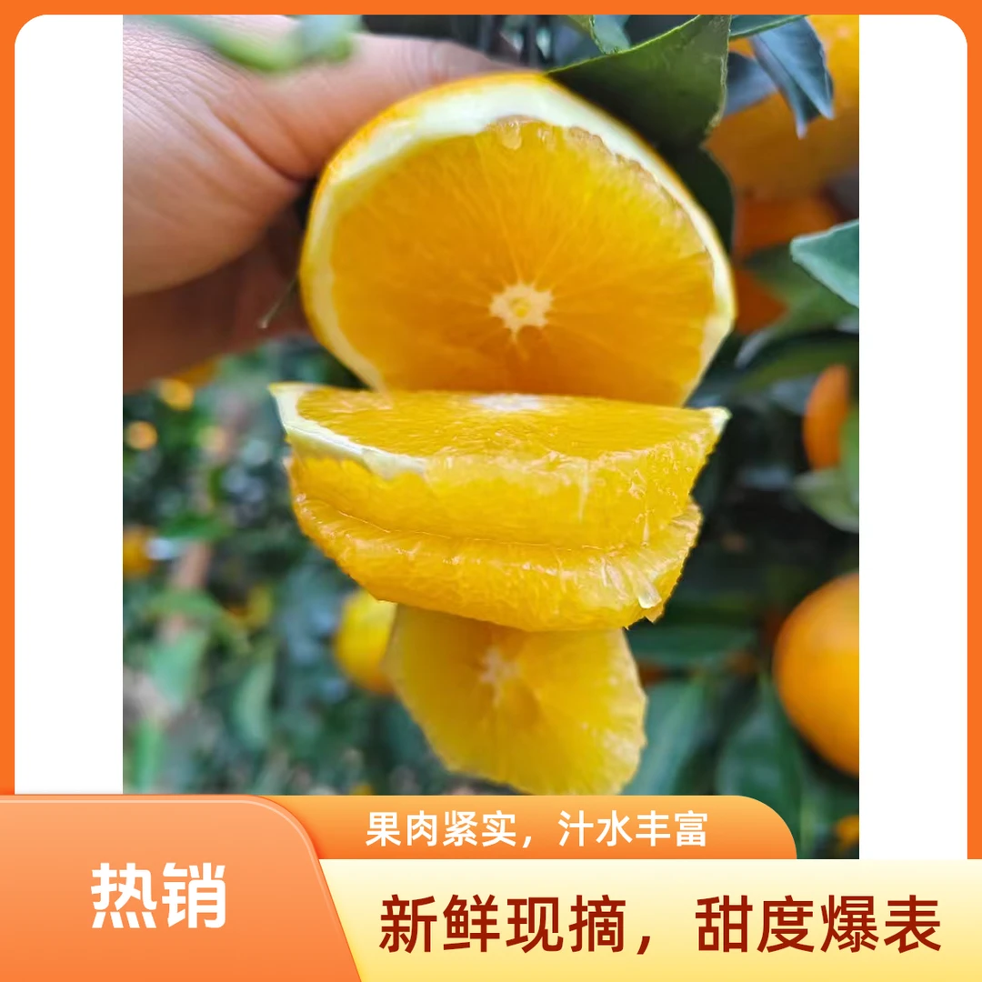 【正宗赣南脐橙4.5斤净重】嘎嘎好吃，嘎嘎甜，包邮到家