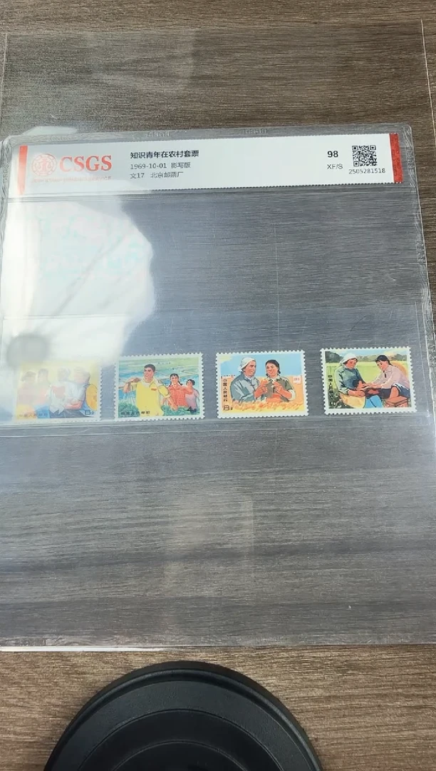 文17  知识青年在农村