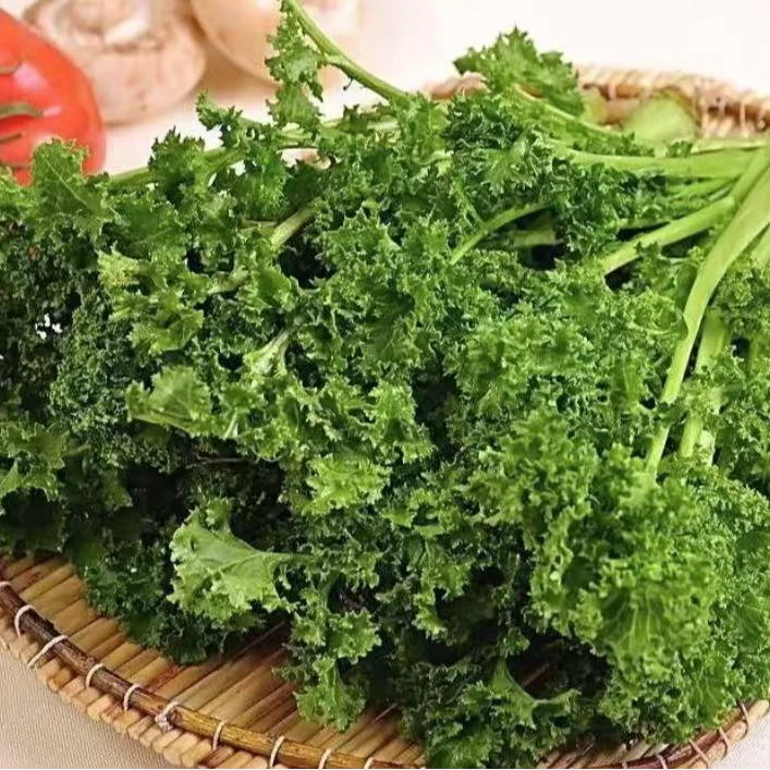 新鲜小黑菜400g左右苔菜