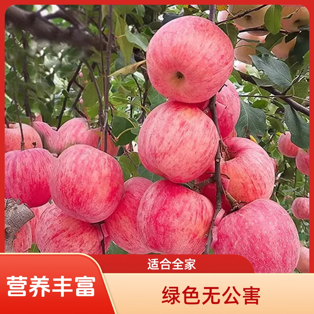 （买三斤送二斤）红富士苹果脆甜皮薄多汁新鲜水果5斤10斤果园直发