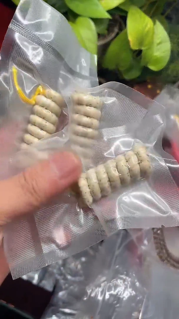 星月菩提手串海南星月菩提《F011》6X5大肠