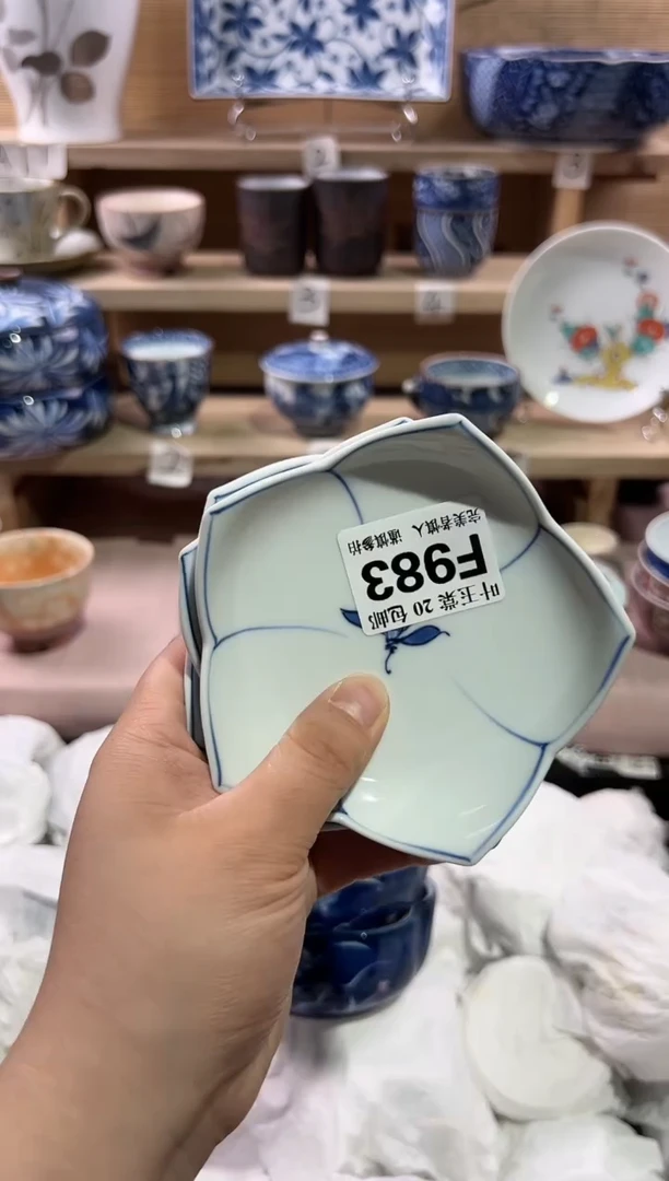 瓷片           F983