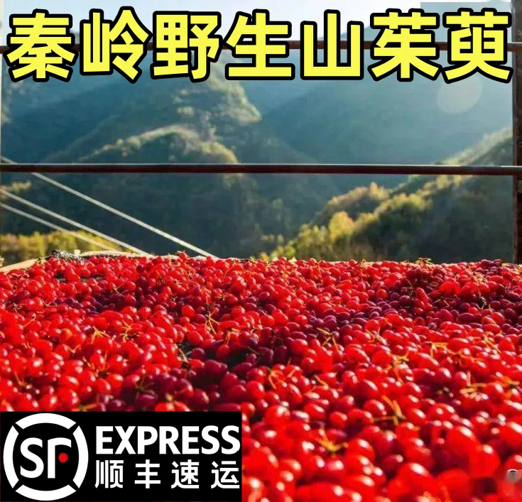 秦岭山茱萸干货山萸肉无核枣皮深山去核正宗陕西正品新货无熏硫