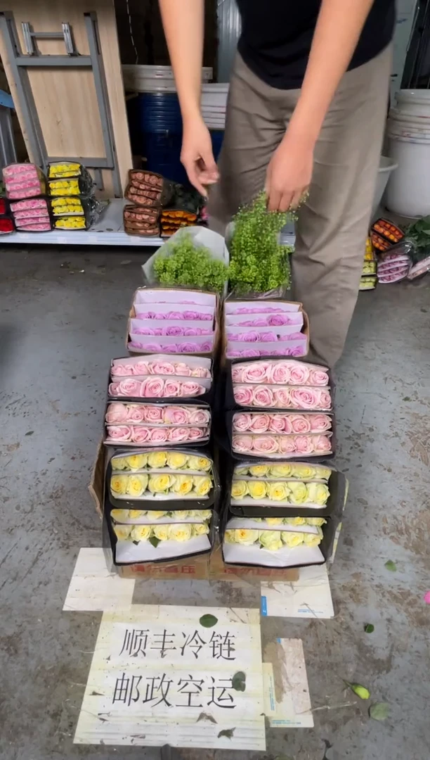 奶油杯20枝+粉红雪山20枝+紫霞仙子20枝+绿林草