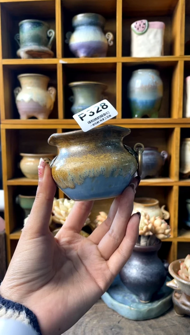 景*鹅328【多肉花盆多肉盆】