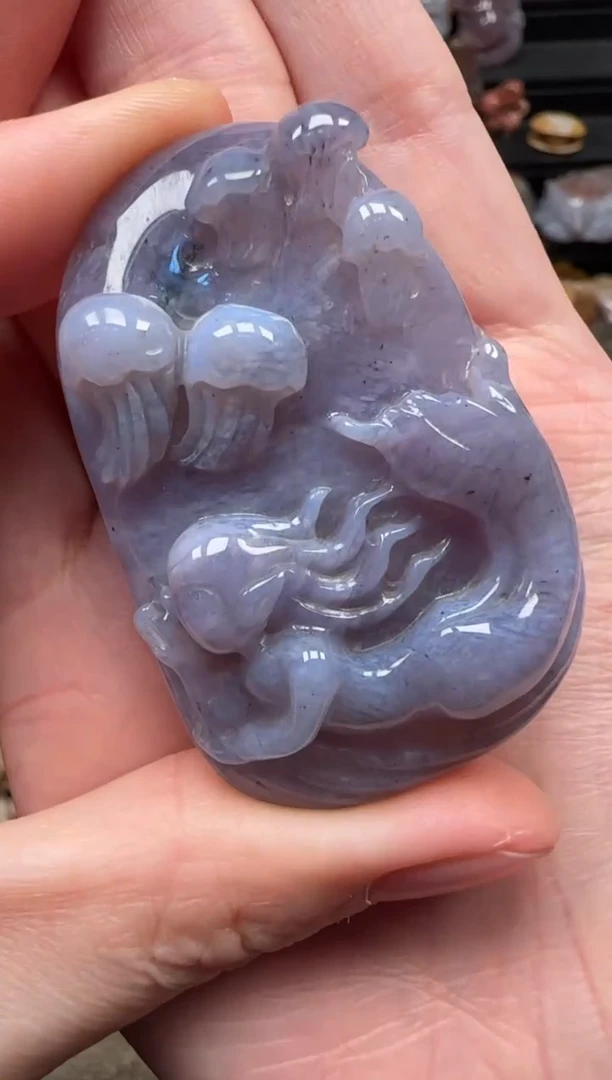 颈饰未镶嵌硅化珊瑚（珊瑚玉）671