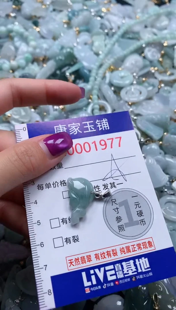 颈饰未镶嵌翡翠1977