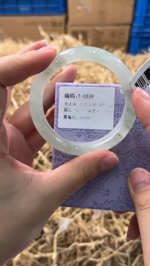 未镶嵌手镯石英质玉T-0539