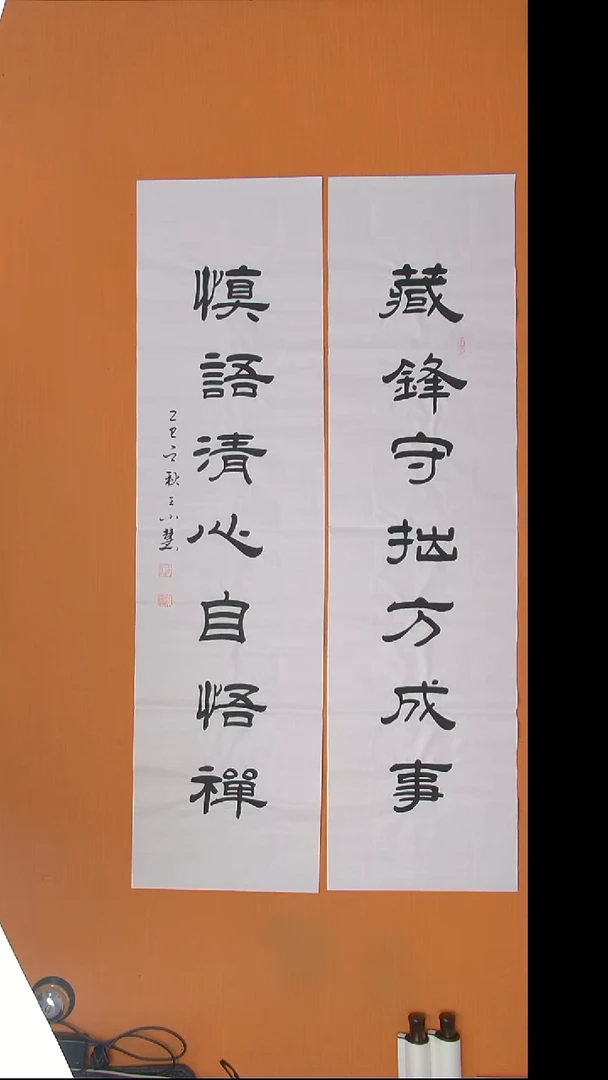 书法王小慧老师精美作品138*34*2