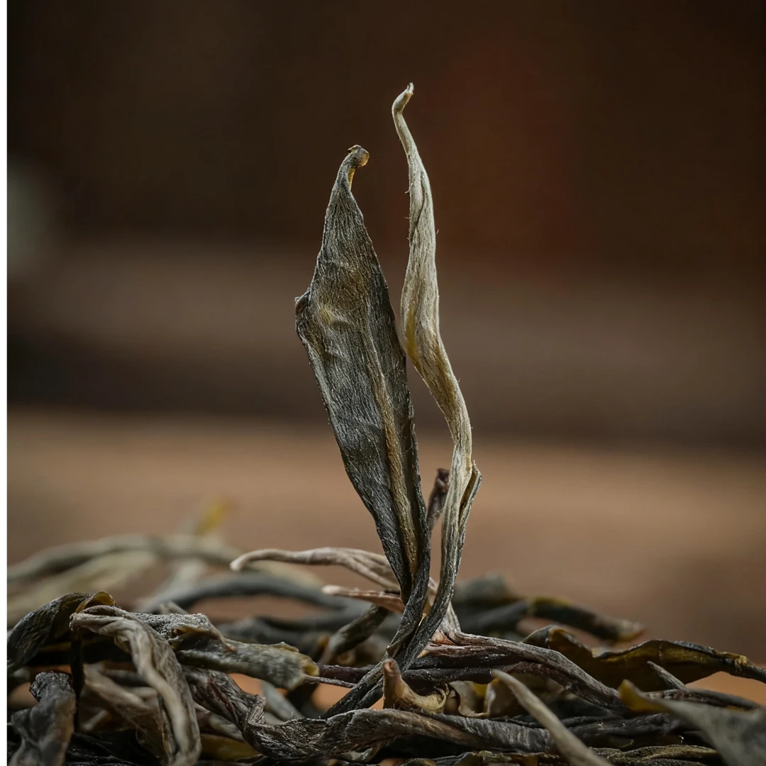 【帕沙】2025古树普洱生茶 散茶