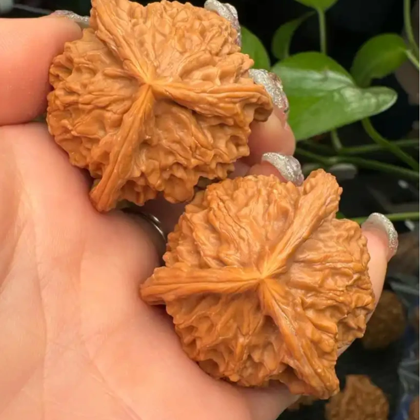 文玩核桃蛤蟆头粗筋元宝白狮子四座楼宫灯磨盘苹果园官帽鸡心凹底