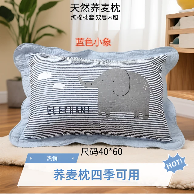 新品田园40*60荞麦枕头加厚家用双层内胆加枕头套三层防护可拆洗