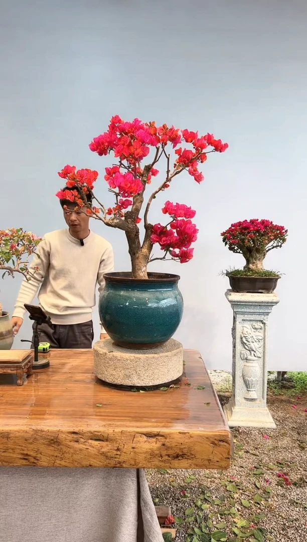 【闪购商品】aa922