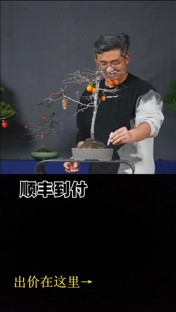 无花朵c417老鸦柿buaboyo