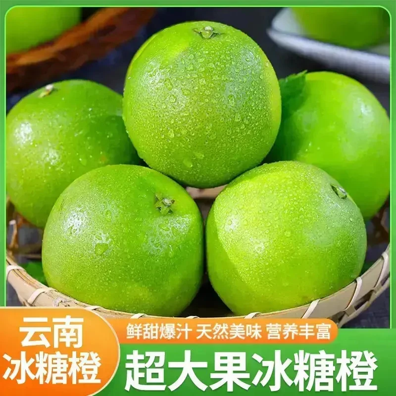 【甄选现采现发】新鲜冰糖橙青皮冰糖橙超大果整箱现摘应季手剥甜橙