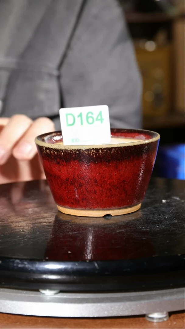 【闪购商品】红陶164