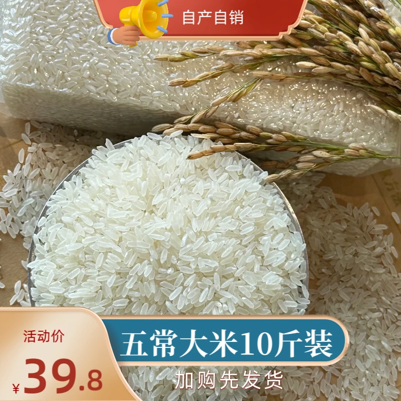 新米五常大米中科发五牤牛河水灌溉伐土地种植