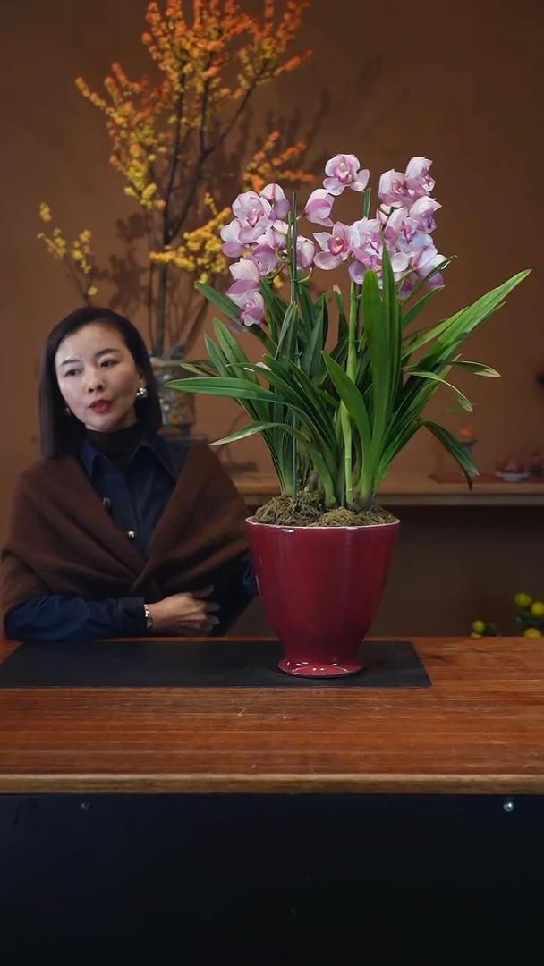 全部花朵烛光盆景盆景盆景