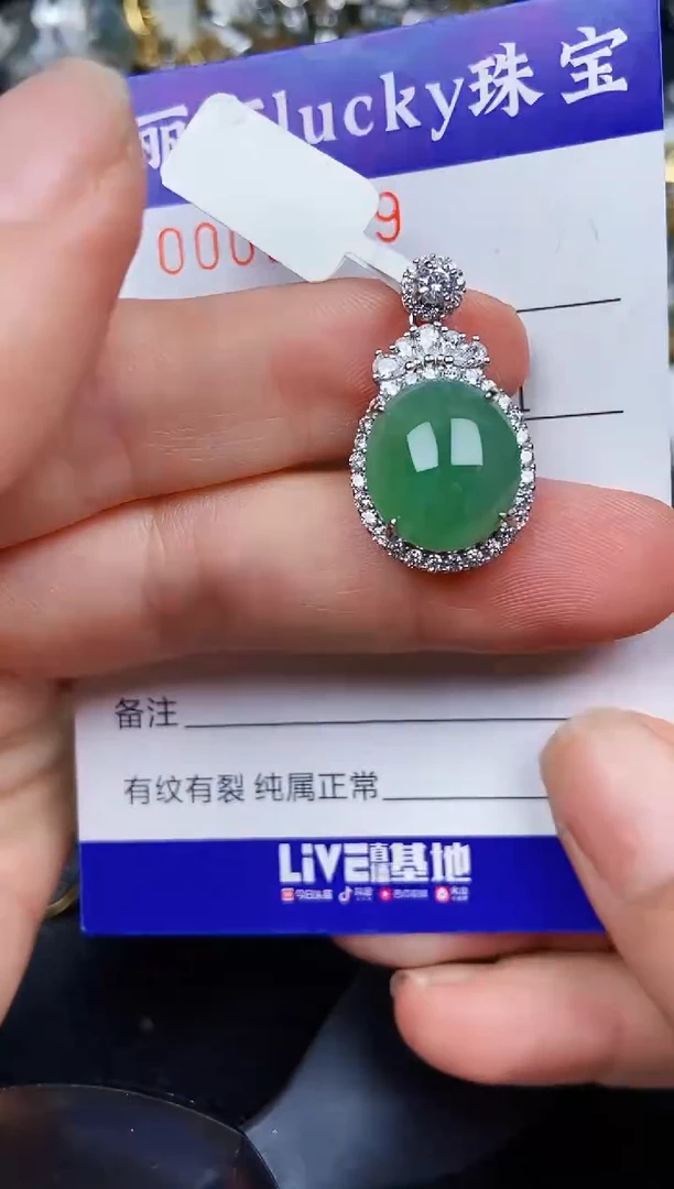 翡翠银S925镶嵌颈饰22292