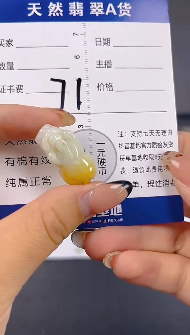 颈饰未镶嵌翡翠天然A货缅甸翡翠