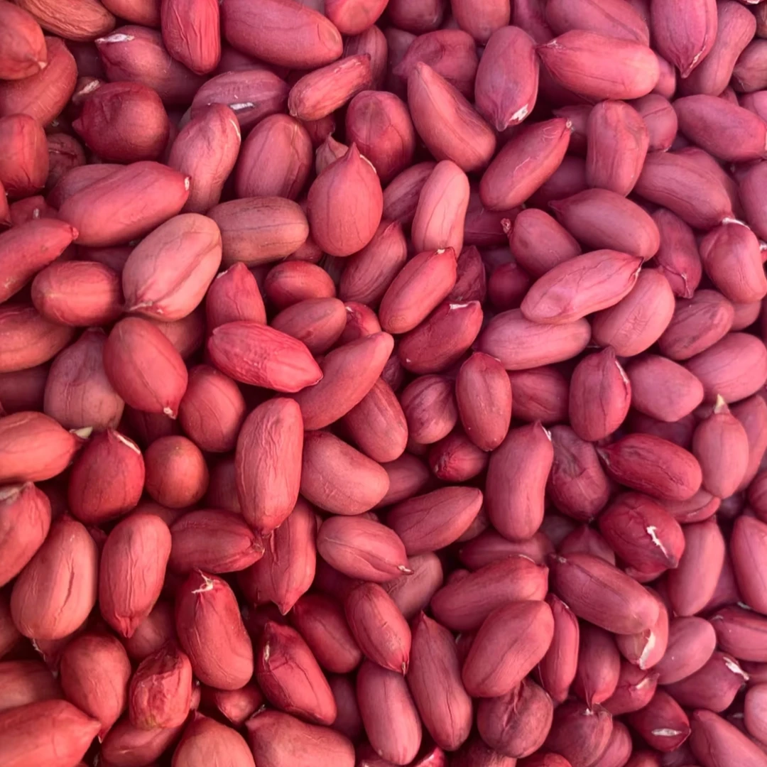 DS云南高山高海拔红皮花生1000g