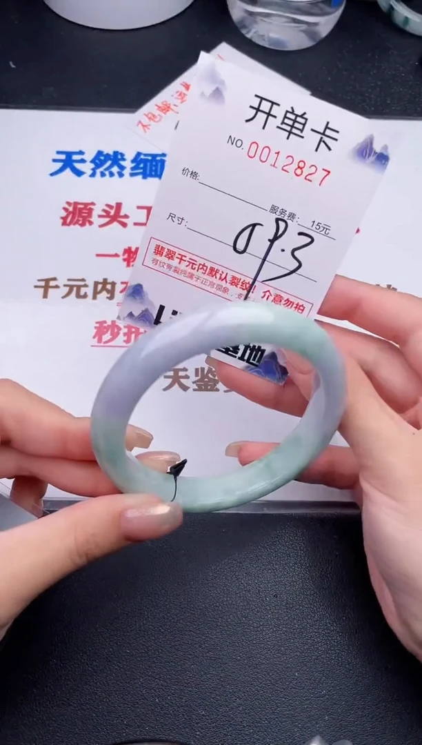 未镶嵌手镯翡翠27