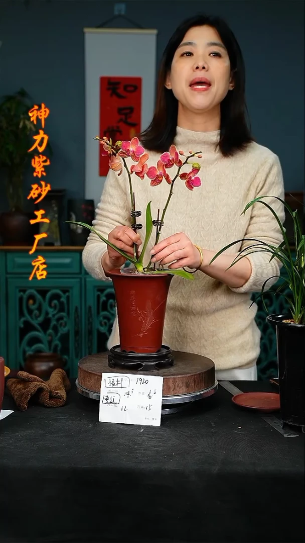 【闪购商品】紫砂花盆1920+s紫砂花盆