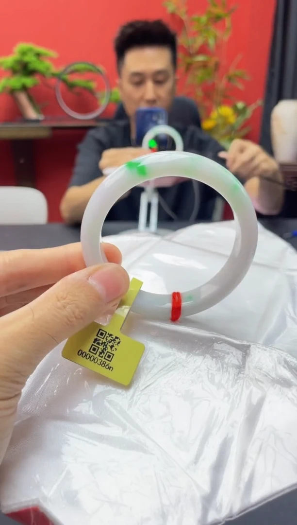 未镶嵌手镯翡翠12