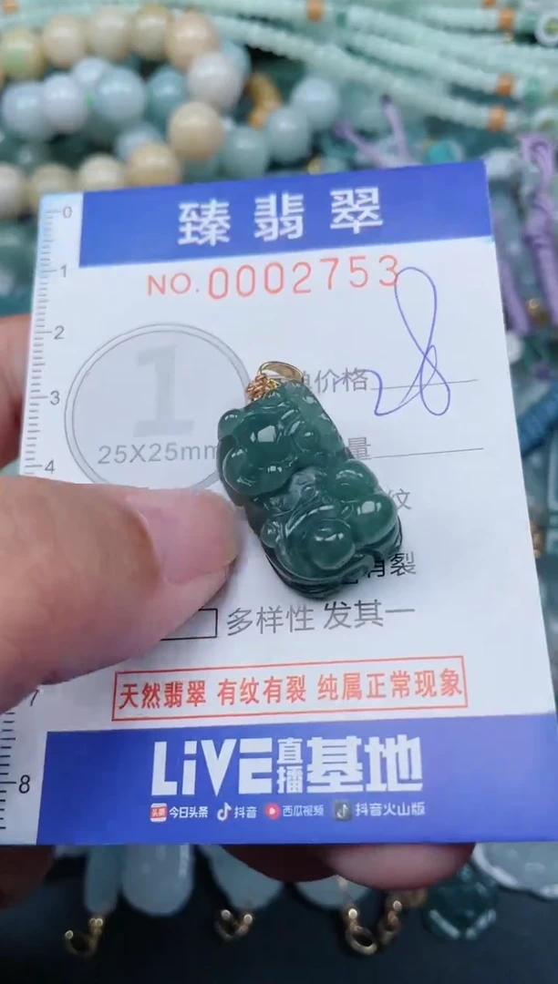 翡翠未镶嵌颈饰.0002753
