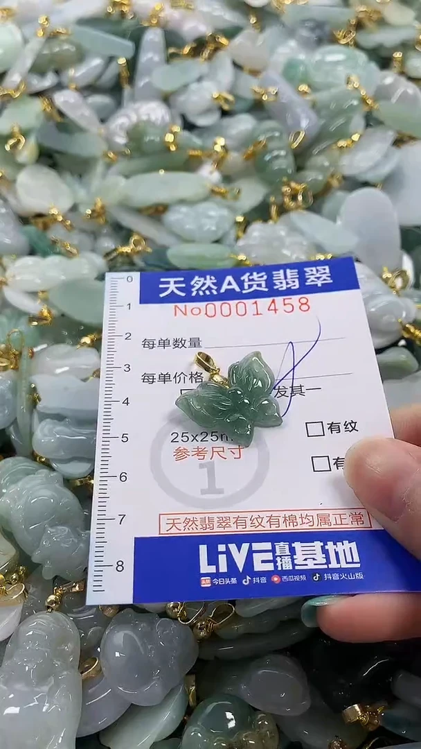 颈饰未镶嵌翡翠纯天然a货翡翠