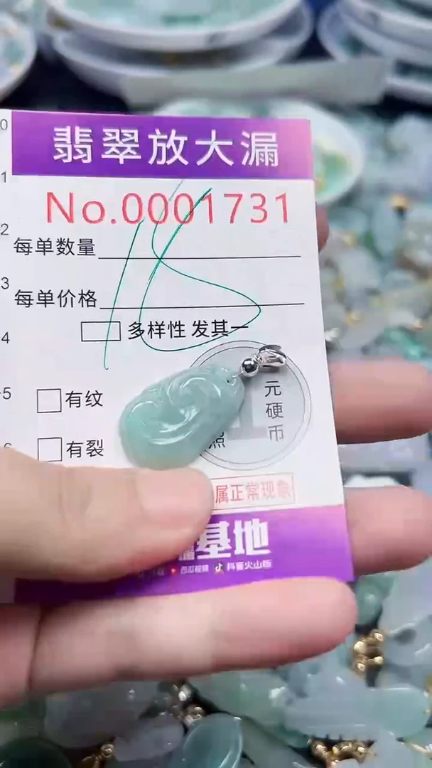 颈饰未镶嵌翡翠1731