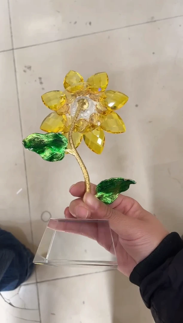 有机玻璃一举夺魁