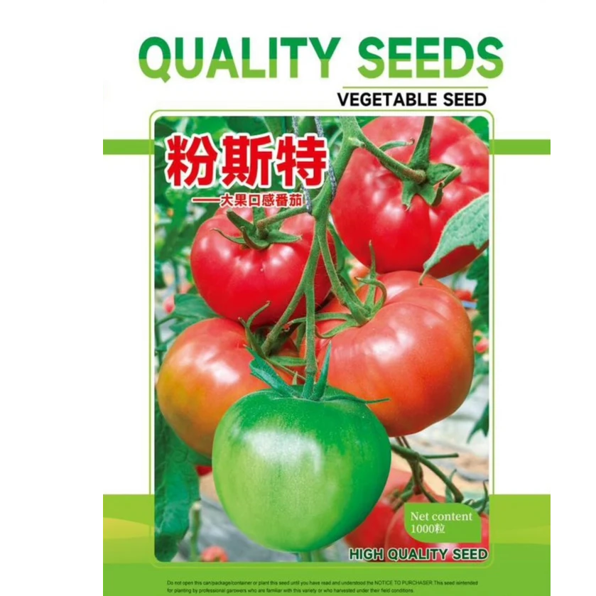 粉斯特大果口感番茄种籽