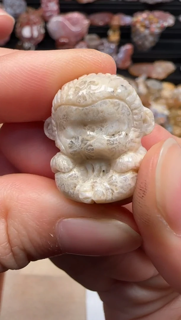 【闪购商品】硅化珊瑚（珊瑚玉）颈饰未镶嵌243