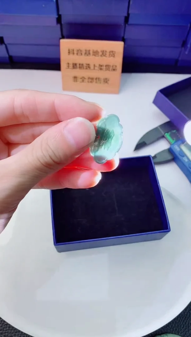 翡翠未镶嵌颈饰11111