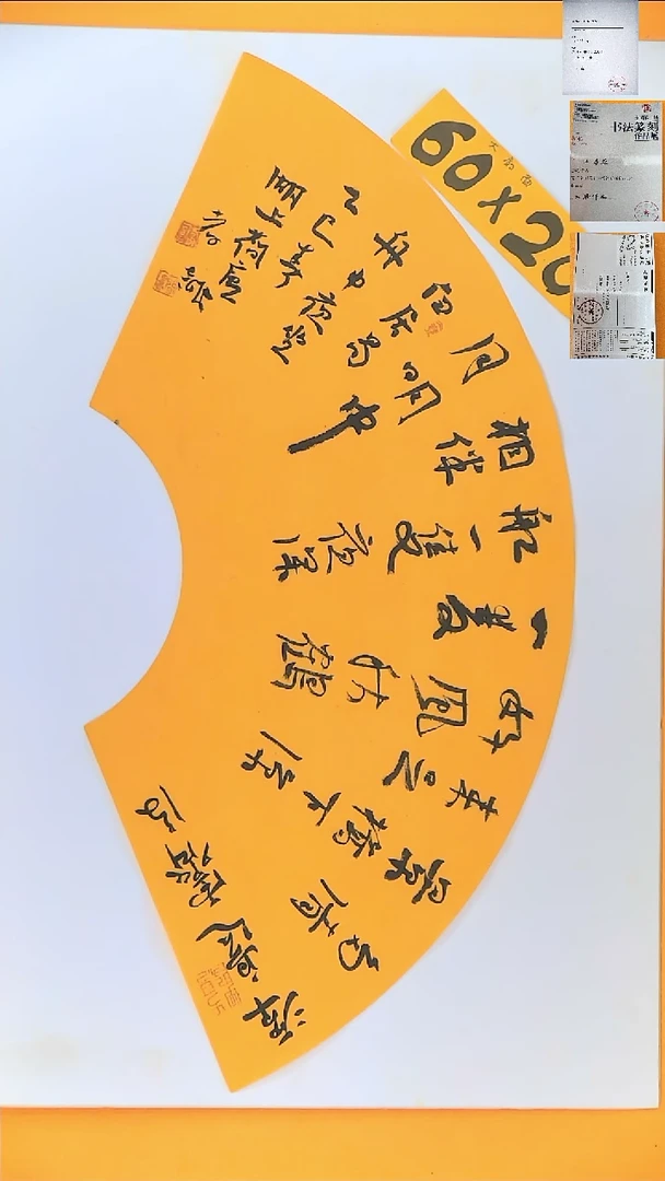 书法江孝龙书法扇面福利舟中夜坐60*20