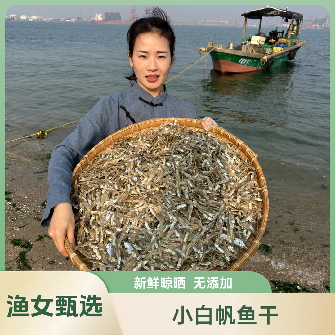 湛江 小白帆鱼 新鲜晾晒