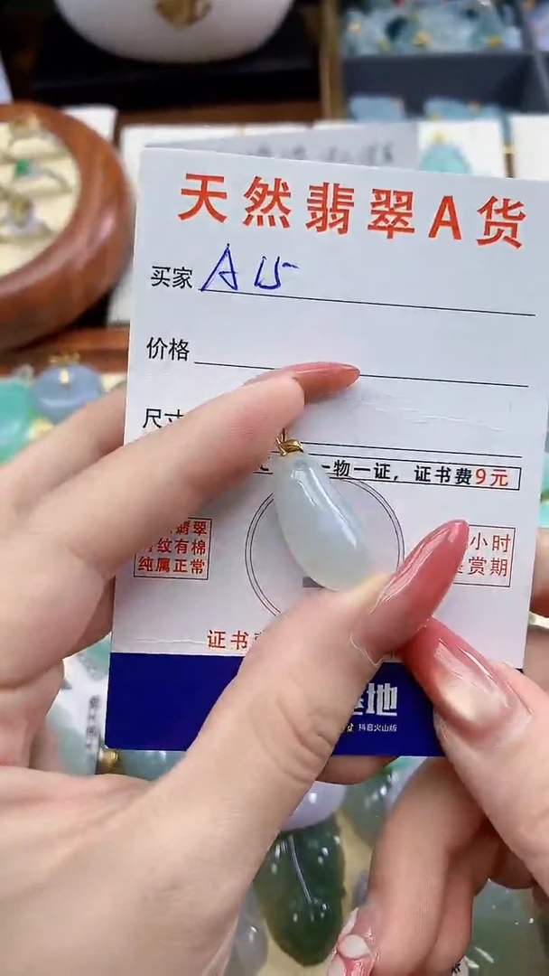 颈饰未镶嵌翡翠天然A货翡翠挂件