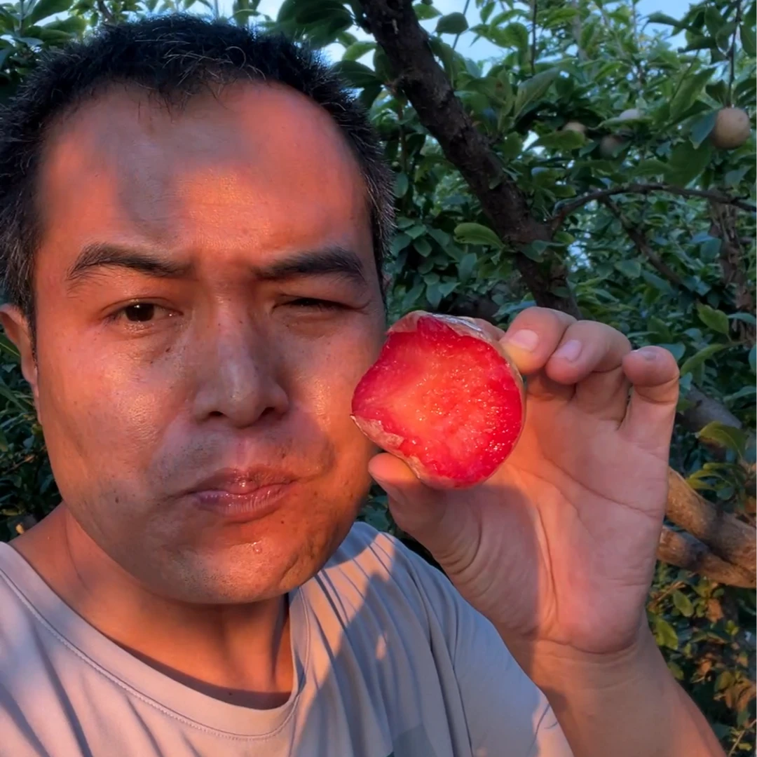 【京东包邮】秦岭山下恐龙蛋红心李子肉厚丰润多汁酸甜可口孕妇水果