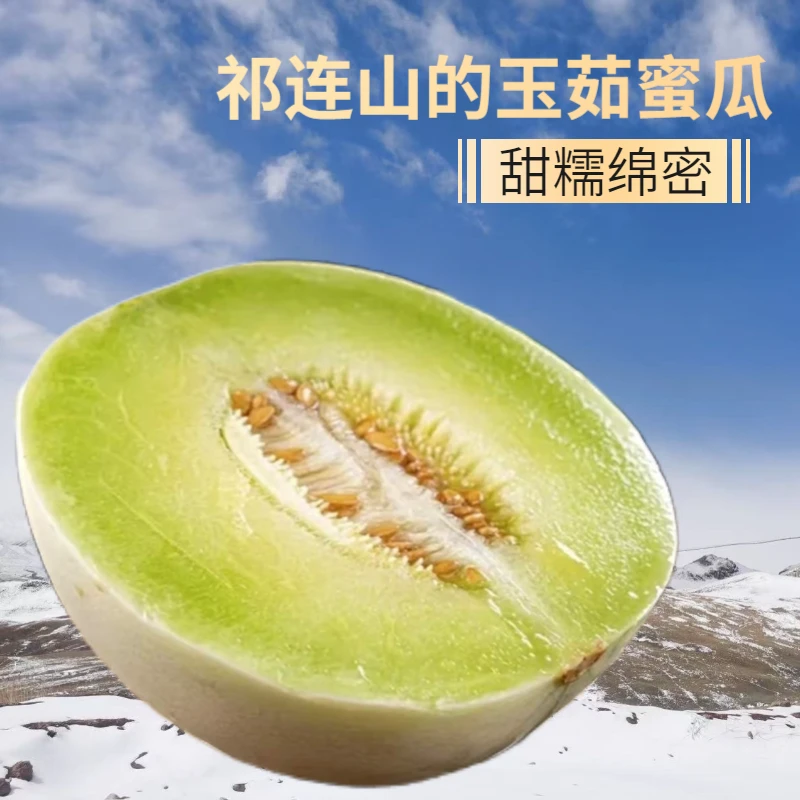 【戈壁农业】甘肃花海玉菇蜜瓜新鲜水果批发当季水果脆蜜瓜