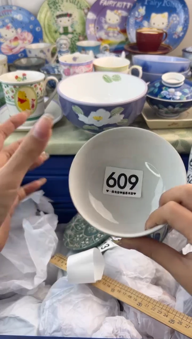 瓷片609...........