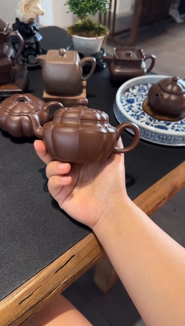 茶壶紫砂回*线向阳而生