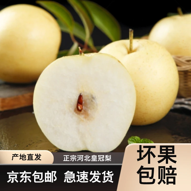 【京东包邮】河北应季皇冠梨新鲜直达产地直发