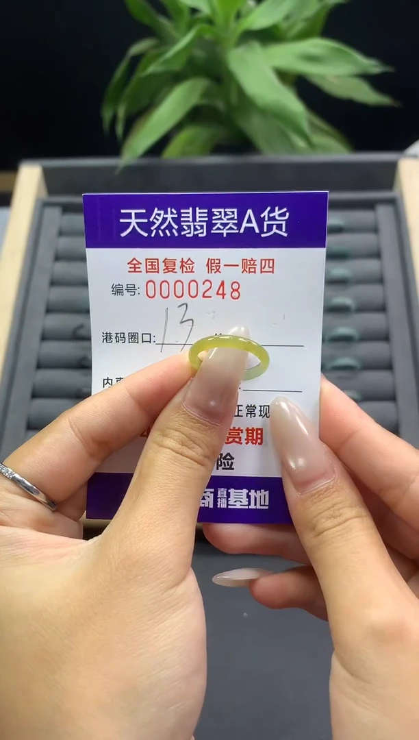未镶嵌戒指翡翠天然  0248