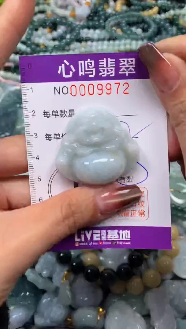 颈饰未镶嵌翡翠闪购009972